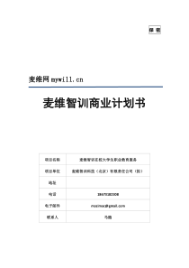麦维智训商业计划书