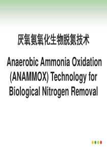 厌氧氨氧化-专题