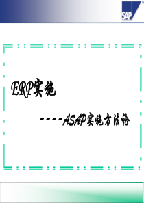 76SAP实施方法论
