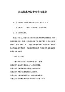 东武仕水电站实习报告