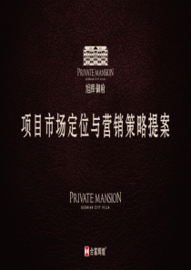 XX项目市场定位与营销策略