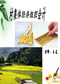 村集体经济组织资金会计培训