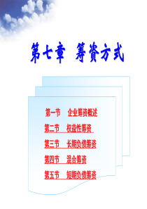 第七章 筹资方式-徐国栋