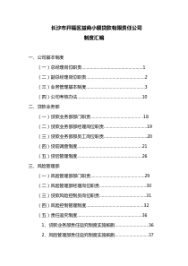 小额贷款公司制度__完整版(整套齐全)