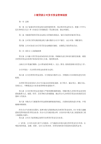 小额贷款公司货币资金管理制度