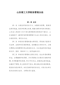 山东理工大学财务管理办法(doc13)(1)