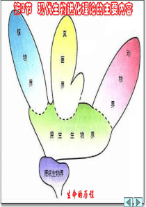 现代生物进化理论的主要内容2高一生物课件