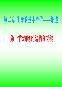 生命的基本单位细胞高一生物课件