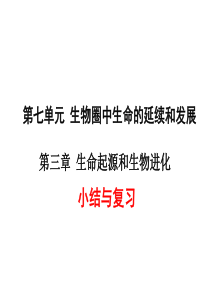 第三章小结与复习