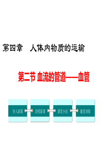 第二节血流的管道血管