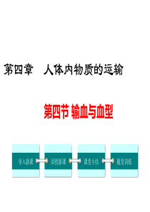 第四节输血与血型