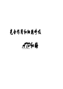高一生物ATP和酶2高一生物课件