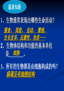高一生物从生物圈到细胞高一生物课件
