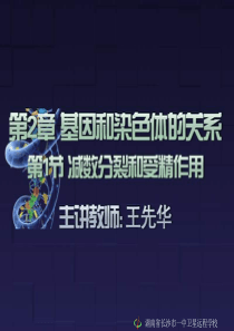 高一生物减数分裂课件1高一生物课件
