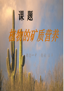 高一生物植物的矿质营养课件高一生物课件