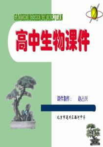 高一生物生物膜系统高一生物课件