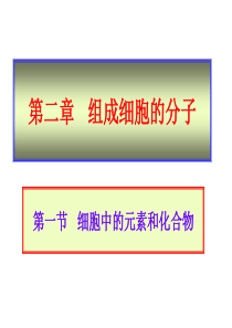 高一生物细胞中的元素和化合物高一生物课件