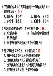 高一生物细胞分化高一生物课件