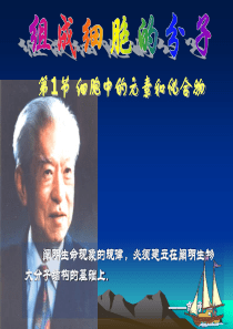 高一生物细胞的元素和化合物课件高一生物课件