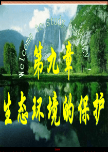 高三生物课件生态环境的保护高三生物课件