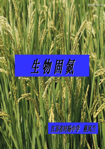 高三生物课件生物固氮蔡凤兰高三生物课件