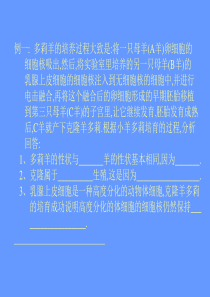 高三生物课件生物的生殖高三生物课件