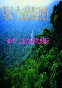 高三生物课件第3节生态系统的物质循环高三生物课件