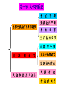 高三生物课件第一节人体的稳态高三生物课件