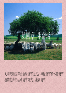 高三生物课件第四章生命活动的调节高三生物课件