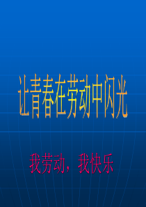 劳动主题班会