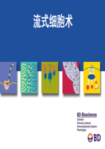 BD-流式基础知识-qj