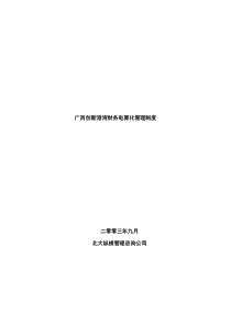 广西创新港湾财务电算化管理制度