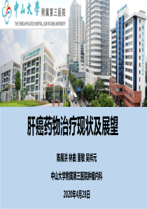 肝细胞癌药物治疗现状及进展陈展洪吴祥元修改版第13版20200428(3)