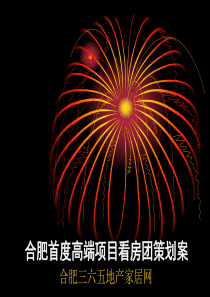 合肥首度高端项目看房团策划方案
