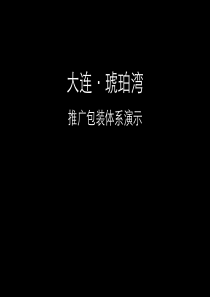 大连琥珀湾大盘项目推广包装体系演示-智联东方