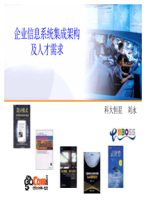 企业信息系统集成架构及人才需求2
