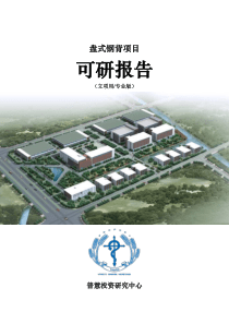 盘式钢背项目可研报告立项用(专业版)