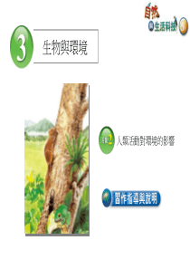 人类活动改变自然环境