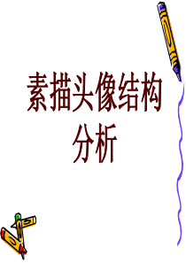 素描头像结构讲解