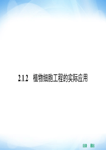 2014年高二生物人教版选修三同步课件 2.1.2 植物细胞工程的实际应用