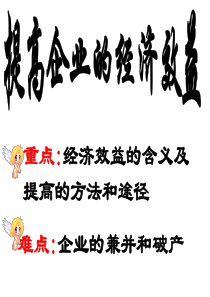 企业经济效益高一政治课件