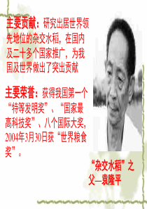 实现人生价值的条件4高二政治课件