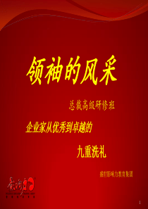 领袖的风采介绍ppt版6-11-13