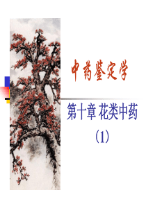 花类中药(1)