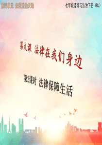 第2课时法律保障生活人教版七年级下册道德法制教学课件