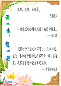 4(苏教版)六年级语文下册课件_习作4有趣的实验_2(2)