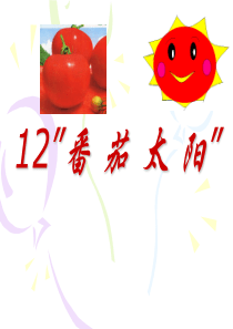 12 苏教版四年级下册12课《番茄太阳》PPT课件