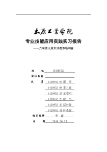 六味斋专业技能应用实践实习报告