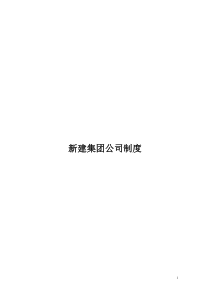 新建集团公司财务管理制度模板