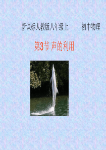 2013年最新初中精品化学教学课件：2.3声的利用ppt课件a